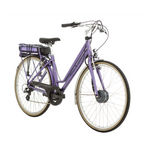 Raleigh TranzX Spirit E-Bike Technical Manual