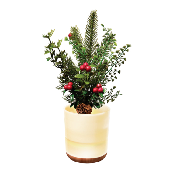 Mahli Holly Evergreen Instruction Manual