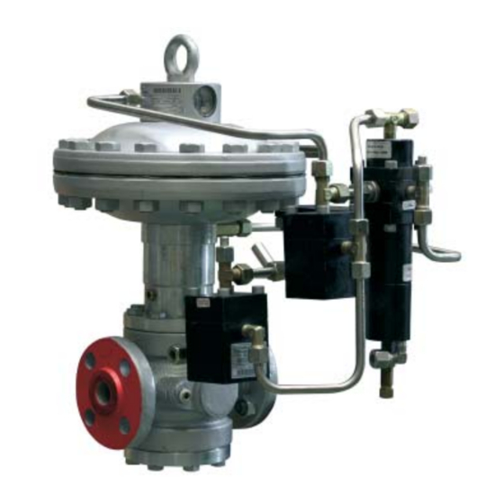 PIETRO FIORENTINI REFLUX 819/FO Technical Manual