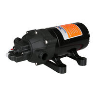 Seaflo SFDP1-055-060-51 Installation & Maintenance Manual