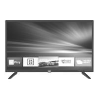 Trevi LTV 3209 Instruction Manual