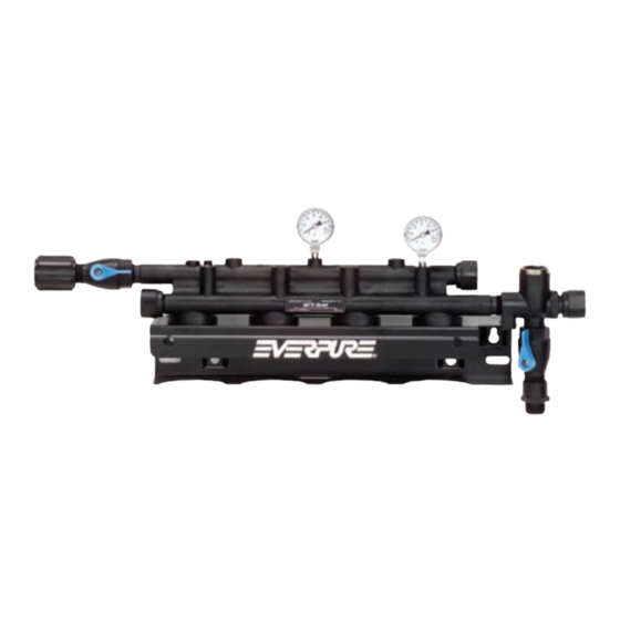 Everpure Quad Parallel Head EV9336-11 Specification Sheet