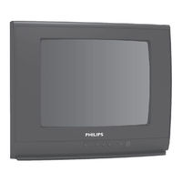 Philips 14PT2407/V7 User Manual