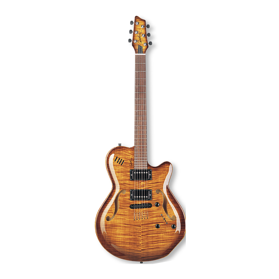 Godin Flat Five X Specification