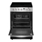 Frigidaire FCFE242CAS