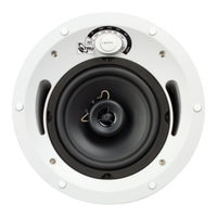 Truaudio CL-70v-6UL User Manual