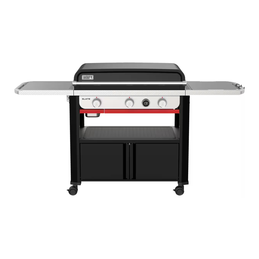 Weber SLATE Manual