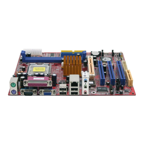 Biostar P4M800 Pro-M7 User Manual