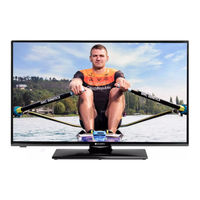 Gogen TVH32R360STWEB Instruction Manual