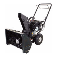 MTD 300 Series Operator's Manual