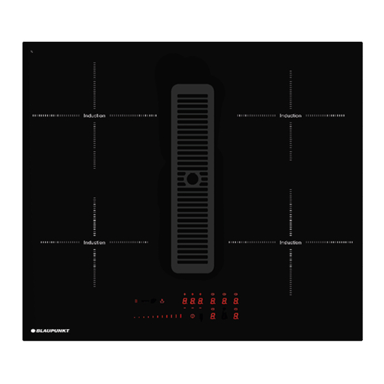 Blaupunkt 5IX60290 Instruction Manual
