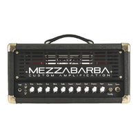 Mezzabarba SKILL User Manual