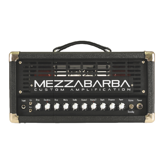 Mezzabarba SKILL User Manual