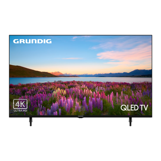 Grundig 55 GHQ 9100 User Manual