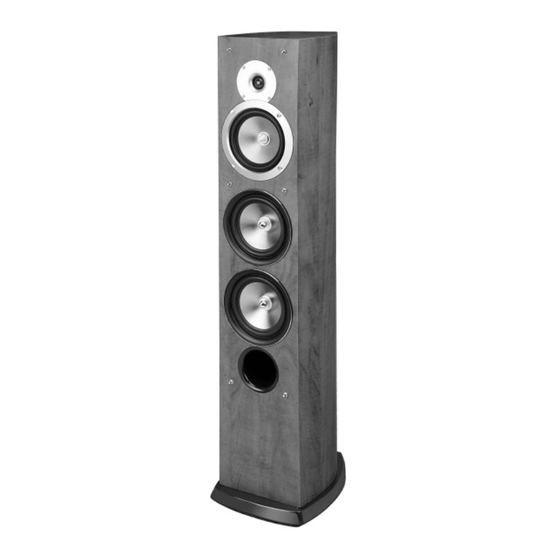 Pure Acoustics RB6 Owner's Manual