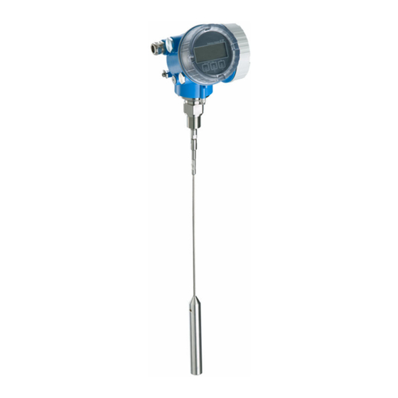 Endress+Hauser Levelflex FMP56 Technical Information