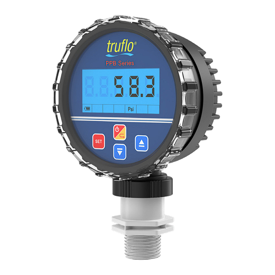 Icon Process Controls Truflo PPB Series Quick Start Manual