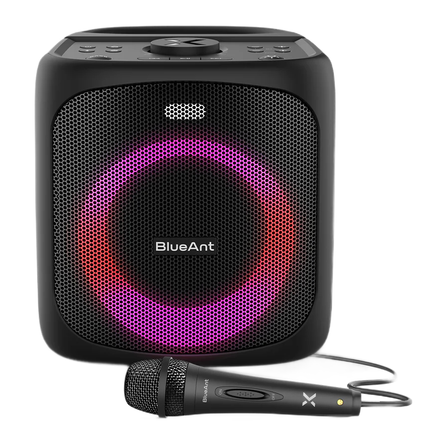 BlueAnt X4 Manual