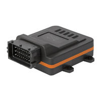 RaceChip Pro 2 Installation Manual