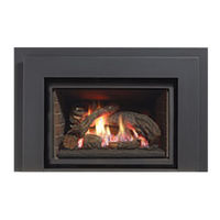 Regency Fireplace Products L390E Owners & Installation Manual