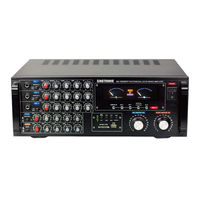 SINGTRONIC KA-1000DSP User Manual