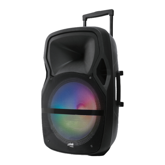 Sound Pro NDS-1503 Instruction Manual