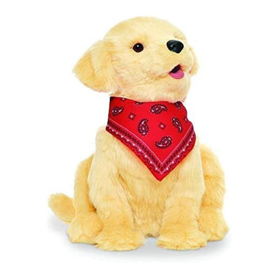 Ageless Joy for All COMPANION PETS Manual