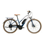 Raleigh Array Technical Manual