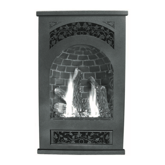 Enviro Haven Haven Direct Vent Fireplace Owner's Manual