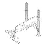 Weider PRO 250 831.15707.0 User Manual