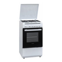 Heinner HFSC-V50LITGSL Manual