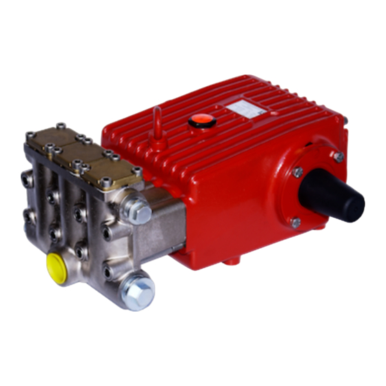 Speck P55/165-100 Operating Instructions