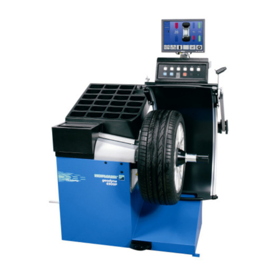 Hofmann geodyna 6900 P Additional Instructions