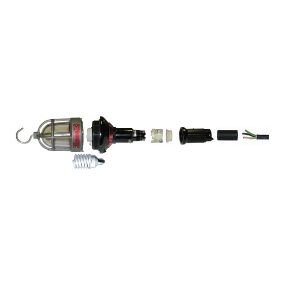 Eaton Crouse-Hinds EVHF106 Series Installation & Maintenance Information