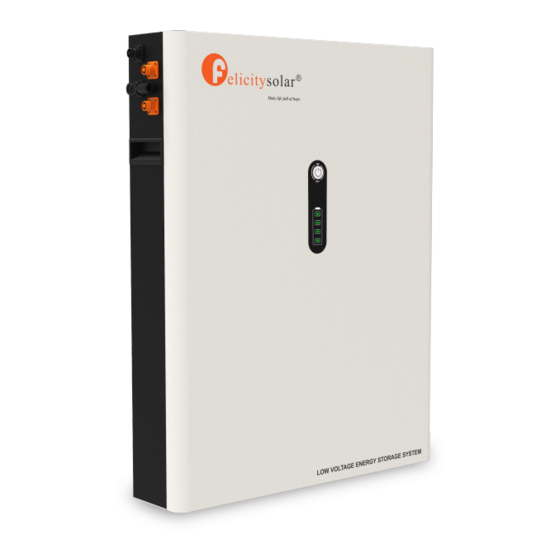 Felicitysolar LPBA48170 User Manual