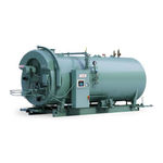 CleaverBrooks CBEX Elite Operation And Maintenance
