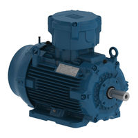 WEG W22Xdb C 315 Instruction Manual