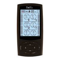 Belifu FM-B2402 User Manual