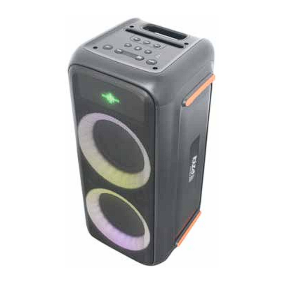 Ibiza sound GRAFFIK600 Instruction Manual