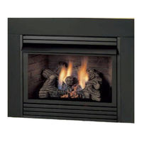 Monessen Hearth DIS33NTAS Installation And Operating Instrictions