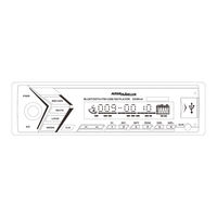 Aussie Traveller SINGLE DIN MECHLESS AUDIO HEAD UNIT User Manual