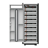 Pytes Deye HV48100BMU Installation And Configuration Manual
