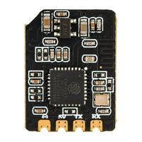 Radiomaster BR1 User Manual