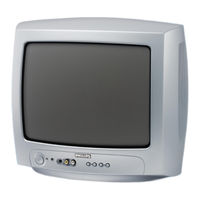 Philips 14PT1365 Specification Sheet