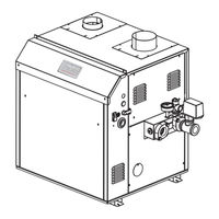Bradford White Brute Deluxe BMT2V0400NCC32LX Assembly, Installation And Operation Instructions