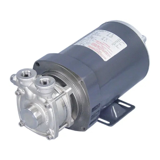 MTH PUMPS P31 Series Manuals