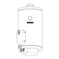 Boschetti Industrie Meccaniche BGMAX 100 Manual For Installation And Use