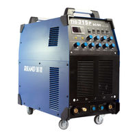 Riland TIG 315PAC/DC User Manual