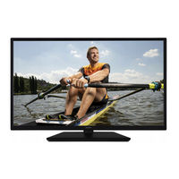 Gogen TVF32R528STWEB Instruction Manual