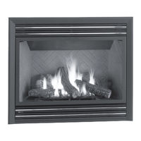 Regency Fireplace Products P48 Owners & Installation Manual